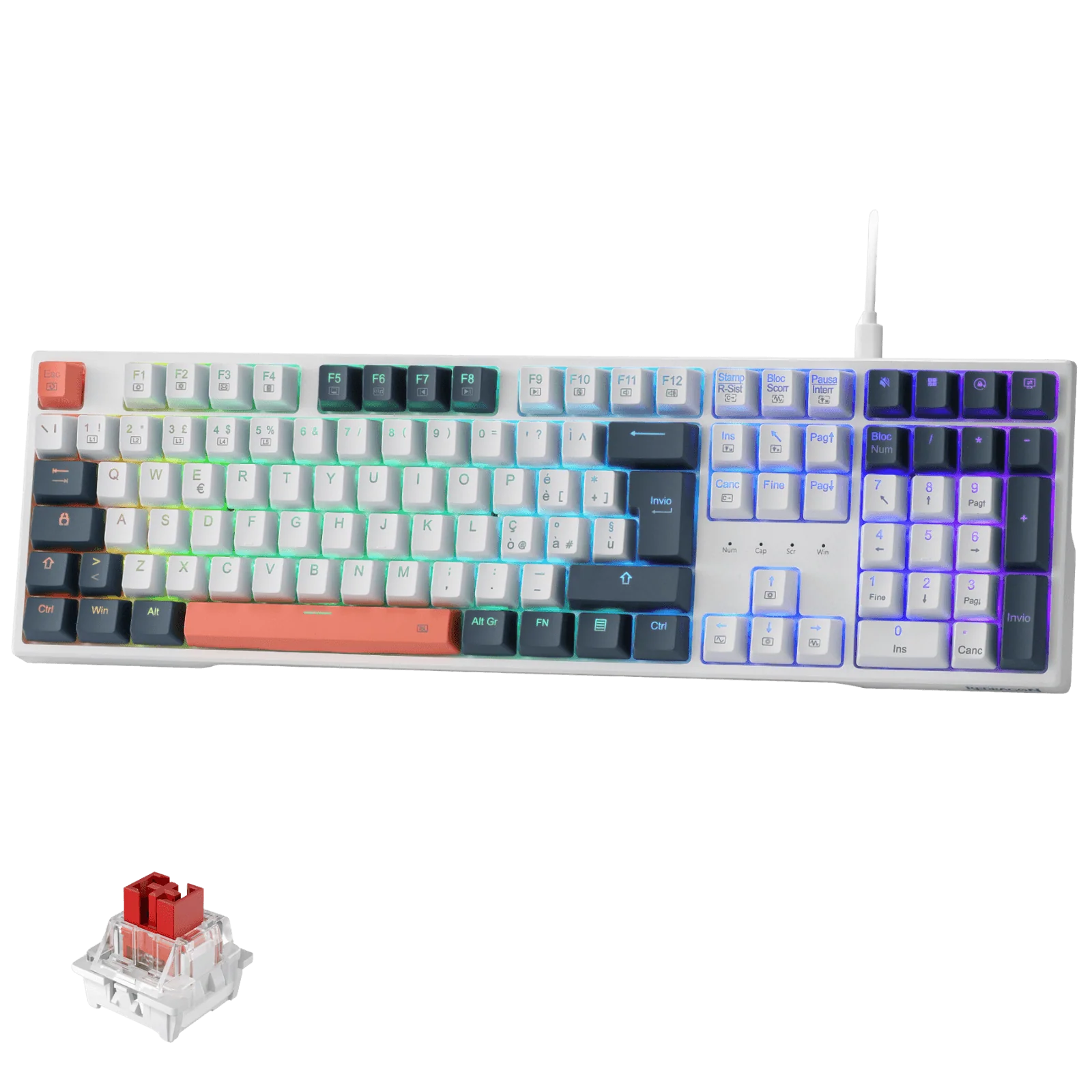 TRUNDLE K668 - Image 5