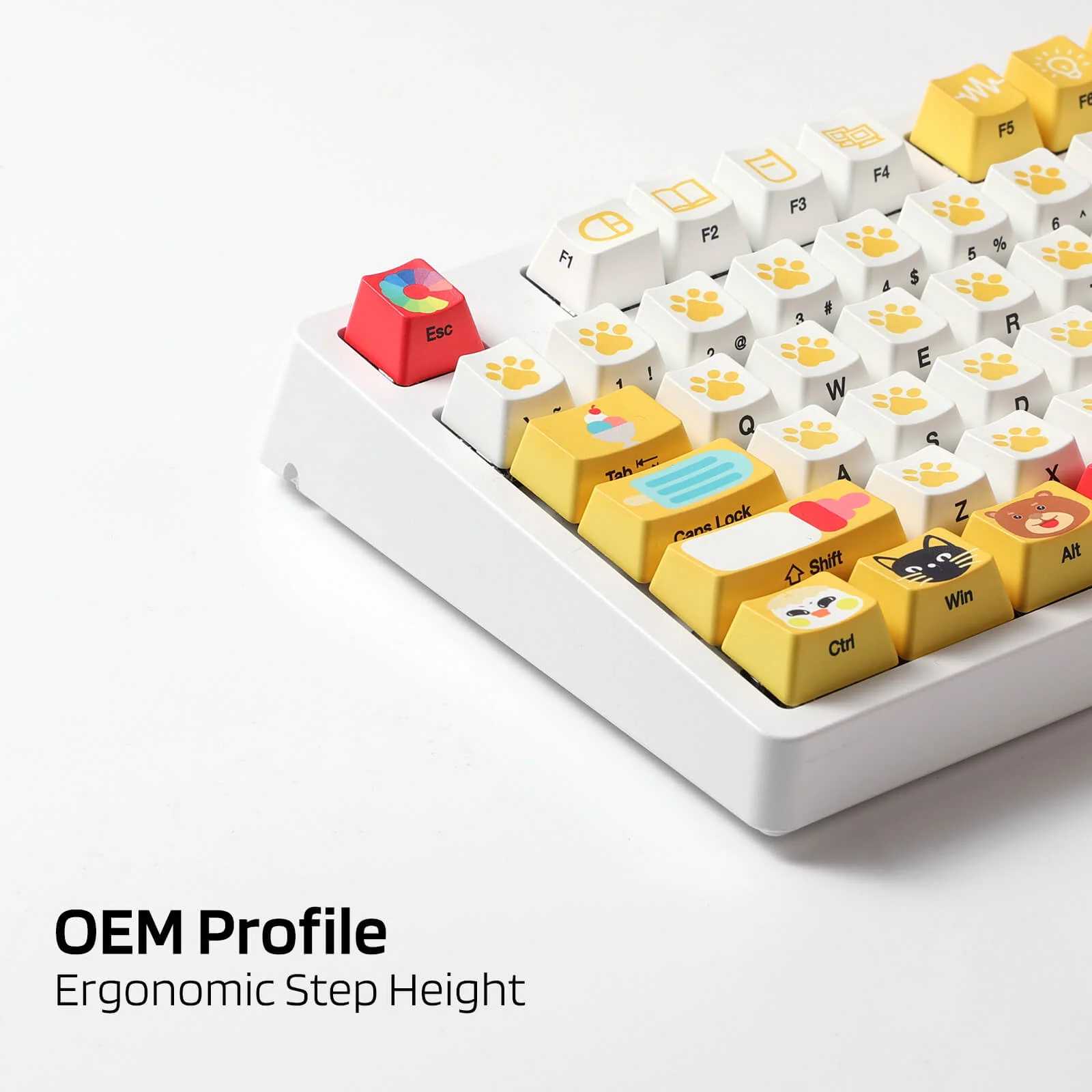 (Only Keycaps) Redragon X LTC 108-Key OEM Profile PBT Double Shot Keycaps - Image 3